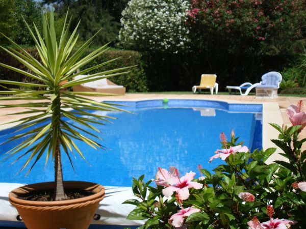 Pool Terrace Renovation in White Lake