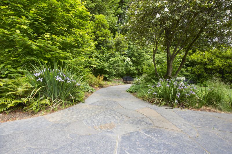 Hardscape Service