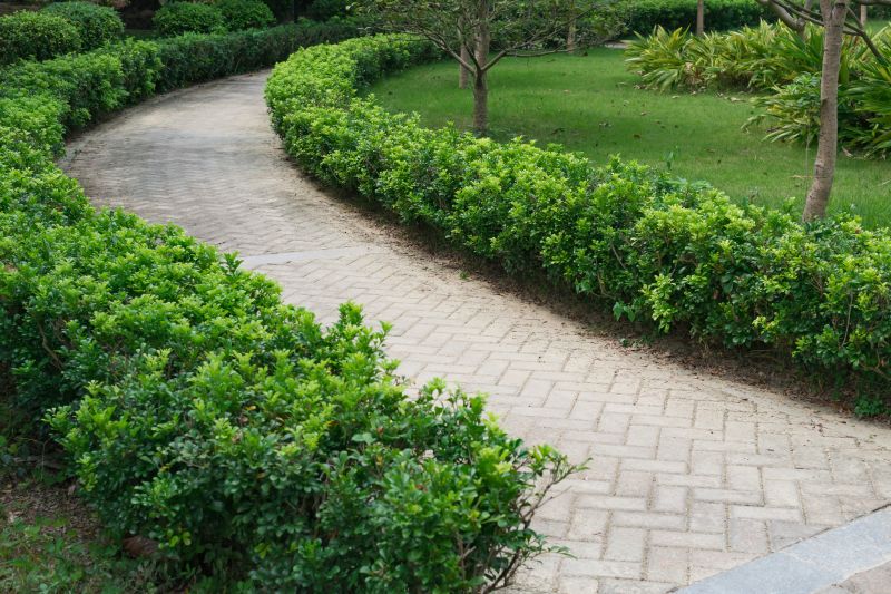 Paver Hardscape Installation