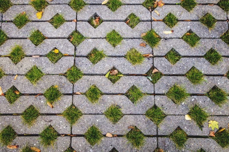 Permeable Concrete Paving